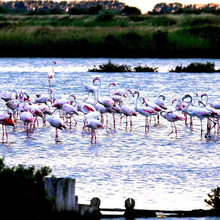 Julia Llido Degli Estensi