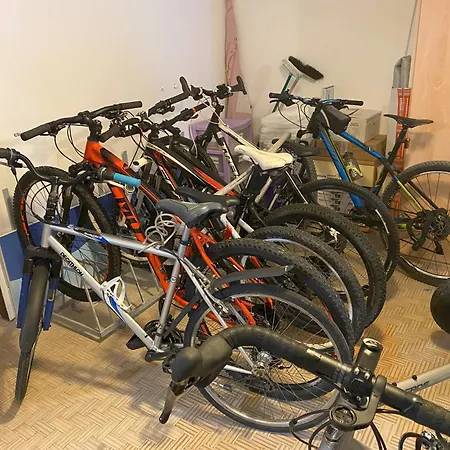 Julia לידו דליי אסטנסי